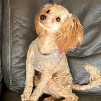 processed/b9dd9bdb-7ee7-45de-9d5e-c66985a12c40/facility/281bfedf-963c-43e3-915c-5fd720e2dcbe