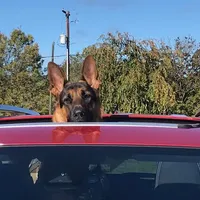 processed/b9dd9bdb-7ee7-45de-9d5e-c66985a12c40/facility/6c079f9c-46a6-45a1-a489-37474ca0641c