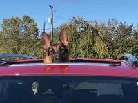 processed/b9dd9bdb-7ee7-45de-9d5e-c66985a12c40/facility/6c079f9c-46a6-45a1-a489-37474ca0641c