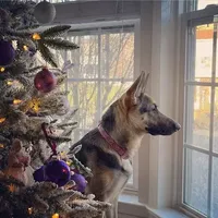 processed/b9dd9bdb-7ee7-45de-9d5e-c66985a12c40/facility/7fa89790-4b7c-418e-900d-68b11aa7dfa4