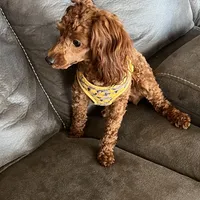 processed/b9dd9bdb-7ee7-45de-9d5e-c66985a12c40/facility/a1fa62de-deaa-46fe-a3f4-6d7fd33cb0ad