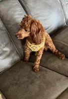 processed/b9dd9bdb-7ee7-45de-9d5e-c66985a12c40/facility/a1fa62de-deaa-46fe-a3f4-6d7fd33cb0ad