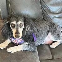 processed/b9dd9bdb-7ee7-45de-9d5e-c66985a12c40/facility/f7ca0f53-1fff-474e-8e15-a3d35875b1e7