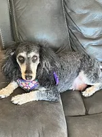 processed/b9dd9bdb-7ee7-45de-9d5e-c66985a12c40/facility/f7ca0f53-1fff-474e-8e15-a3d35875b1e7