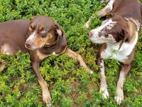 processed/b9e08df8-4486-47b4-a4a1-653e23d5abc4/facility/0a4e55ef-6acb-436b-885d-8dbc2509c137