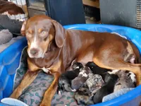 processed/b9e08df8-4486-47b4-a4a1-653e23d5abc4/facility/17812eeb-ed52-4cb4-88f1-9331524bd1e0