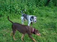 processed/b9e08df8-4486-47b4-a4a1-653e23d5abc4/facility/42baee34-0b6a-4013-b974-1bc03a2ea632