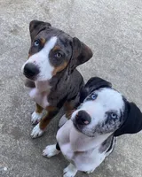 processed/b9e08df8-4486-47b4-a4a1-653e23d5abc4/facility/48e76331-d90b-42b5-8e87-3e8ec9b0a3ee