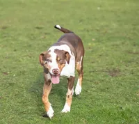 processed/b9e08df8-4486-47b4-a4a1-653e23d5abc4/facility/81eb2ed9-3f87-48a9-9585-8e5df74853ed