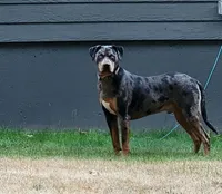 processed/b9e08df8-4486-47b4-a4a1-653e23d5abc4/facility/c790ef65-fa0d-4ee5-9f5f-4b220f1ee6e2