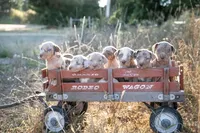 processed/b9e08df8-4486-47b4-a4a1-653e23d5abc4/facility/d098e825-8b78-4cf2-9f7c-86bca43f2d69