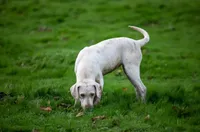 processed/b9e08df8-4486-47b4-a4a1-653e23d5abc4/facility/ddb99b66-e795-4122-8373-224c2d9e1bf7