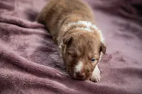 processed/b9e08df8-4486-47b4-a4a1-653e23d5abc4/listing/0b4c8043-d22c-4a47-9822-ee65a6f9519d/0a9c9ed0-d1a1-4e92-9ff9-5196b2ede5c3