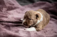 processed/b9e08df8-4486-47b4-a4a1-653e23d5abc4/listing/0b4c8043-d22c-4a47-9822-ee65a6f9519d/4e9340fc-0681-43a4-8802-7640922935a3