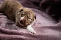 processed/b9e08df8-4486-47b4-a4a1-653e23d5abc4/listing/0b4c8043-d22c-4a47-9822-ee65a6f9519d/57be0740-7647-43b0-bbd9-f7252db35d52