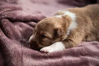 processed/b9e08df8-4486-47b4-a4a1-653e23d5abc4/listing/0b4c8043-d22c-4a47-9822-ee65a6f9519d/78bc1766-4b95-4ac9-821b-2fffc877ebc3