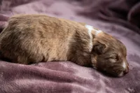 processed/b9e08df8-4486-47b4-a4a1-653e23d5abc4/listing/0b4c8043-d22c-4a47-9822-ee65a6f9519d/8c9c0ffd-1358-44e3-a32f-be01f375dc48