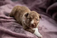 processed/b9e08df8-4486-47b4-a4a1-653e23d5abc4/listing/0b4c8043-d22c-4a47-9822-ee65a6f9519d/bac79bb1-f2e9-4df1-9954-9935076b4fd4