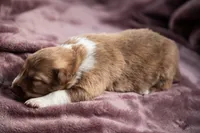 processed/b9e08df8-4486-47b4-a4a1-653e23d5abc4/listing/0b4c8043-d22c-4a47-9822-ee65a6f9519d/c9e50dad-6aca-4ff4-b41c-2aa8874a2829