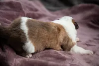 processed/b9e08df8-4486-47b4-a4a1-653e23d5abc4/listing/3c0a1d45-0693-49d9-ba7b-1438eee78fe8/6397c7d8-06e6-4fa7-be9a-c6acd918980a