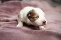 processed/b9e08df8-4486-47b4-a4a1-653e23d5abc4/listing/3c0a1d45-0693-49d9-ba7b-1438eee78fe8/80f9309e-5929-459f-b272-91cfb45461ea