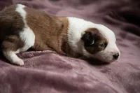 processed/b9e08df8-4486-47b4-a4a1-653e23d5abc4/listing/3c0a1d45-0693-49d9-ba7b-1438eee78fe8/835db0af-51fe-4e84-8354-0f646bc59e44