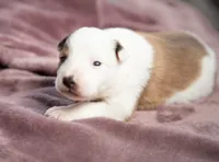 processed/b9e08df8-4486-47b4-a4a1-653e23d5abc4/listing/3c0a1d45-0693-49d9-ba7b-1438eee78fe8/a89c6ad8-a08d-4cc7-a5d3-7bc956876ac8