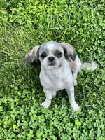 processed/b9e09519-dd23-4948-a419-0238f7aac42a/facility/366eab90-dcda-4263-8222-7ac7341687c1