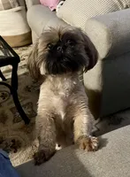 processed/b9e09519-dd23-4948-a419-0238f7aac42a/facility/856d42cc-5a41-442d-aecd-bd33eb4b2d34