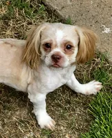 processed/b9e09519-dd23-4948-a419-0238f7aac42a/facility/a23348c3-01c2-49ae-825c-280cbea6ed16