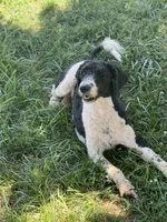 processed/b9e09519-dd23-4948-a419-0238f7aac42a/facility/d31b12e9-adfc-49f1-a1de-be8d1dd29d81