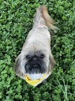 processed/b9e09519-dd23-4948-a419-0238f7aac42a/facility/e4574d64-37f5-4bca-8683-4eb6af72a116