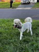 processed/b9e09519-dd23-4948-a419-0238f7aac42a/facility/eea4f78c-2c69-4c16-8383-39429d87aaff