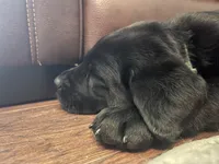 processed/b9e41b59-47ad-4e90-bf15-294504105ca6/facility/37d97253-b351-4c0c-b1f8-7689b4f7b5bf