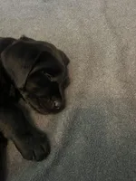 processed/b9e41b59-47ad-4e90-bf15-294504105ca6/facility/edfe6422-1756-43aa-afec-62b28712168f