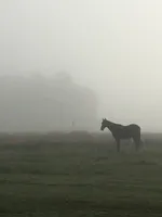 processed/b9e578f5-5c9f-467f-8a7d-2a9d9abbdd7e/facility/5ac8a531-ef66-4306-917c-488477125424