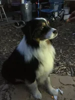 processed/b9e578f5-5c9f-467f-8a7d-2a9d9abbdd7e/facility/5cac734f-9322-44b1-81c1-86af8bf82638