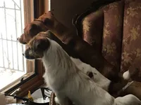 processed/b9e578f5-5c9f-467f-8a7d-2a9d9abbdd7e/facility/669031f0-9ebb-4ae3-8b0f-b4e34082d2d9