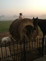 processed/b9e578f5-5c9f-467f-8a7d-2a9d9abbdd7e/facility/a4ccfda9-b9ad-4b52-9c24-8b4d979d8e88