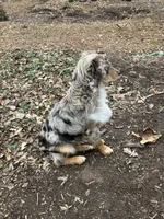 processed/b9e578f5-5c9f-467f-8a7d-2a9d9abbdd7e/facility/a711f455-cf66-43f2-813d-4537c8b437f9