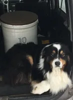 processed/b9e578f5-5c9f-467f-8a7d-2a9d9abbdd7e/facility/fdb13a30-98a2-4ee0-aebb-7e0462140273