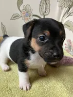 processed/b9e578f5-5c9f-467f-8a7d-2a9d9abbdd7e/listing/e993ba7a-8133-4cfb-a71f-99fac096ed2d/2dba2590-8aac-4256-8019-0fc1da2bfbb6