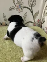 processed/b9e578f5-5c9f-467f-8a7d-2a9d9abbdd7e/listing/e993ba7a-8133-4cfb-a71f-99fac096ed2d/5b0151cb-d3ed-4afb-af4b-d40fce470db1