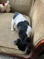 processed/b9e578f5-5c9f-467f-8a7d-2a9d9abbdd7e/listing/e993ba7a-8133-4cfb-a71f-99fac096ed2d/65ebfaf7-0f58-4a52-87ff-bf18083dab5b