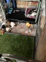 processed/b9e578f5-5c9f-467f-8a7d-2a9d9abbdd7e/listing/e993ba7a-8133-4cfb-a71f-99fac096ed2d/a3b666c0-8966-4f3d-afe4-dd08b5ad0ce1