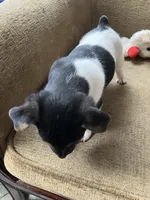 processed/b9e578f5-5c9f-467f-8a7d-2a9d9abbdd7e/listing/e993ba7a-8133-4cfb-a71f-99fac096ed2d/ab4b5858-0b34-4d53-8ad2-ff5d907669ac