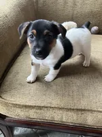 processed/b9e578f5-5c9f-467f-8a7d-2a9d9abbdd7e/listing/e993ba7a-8133-4cfb-a71f-99fac096ed2d/e1078c1d-8986-4851-bec7-eabb2ecc8c42