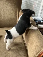 processed/b9e578f5-5c9f-467f-8a7d-2a9d9abbdd7e/listing/e993ba7a-8133-4cfb-a71f-99fac096ed2d/f9503c77-722d-4a9c-ab38-2d11d5d6a19e