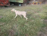 processed/b9ea645d-16d2-4e6d-aa99-4806c71d96af/listing/b5ae5b48-6d8f-4dc8-9bb2-b9bc77c2a95b/0ef4b265-bf12-4360-8e8a-68f369fc2d58