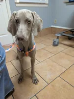 processed/b9ea645d-16d2-4e6d-aa99-4806c71d96af/listing/b5ae5b48-6d8f-4dc8-9bb2-b9bc77c2a95b/7ec73001-95c3-4bb6-a9cf-6f94074676de